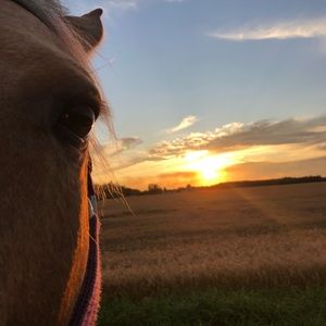 Meet your Posher, Jordyn